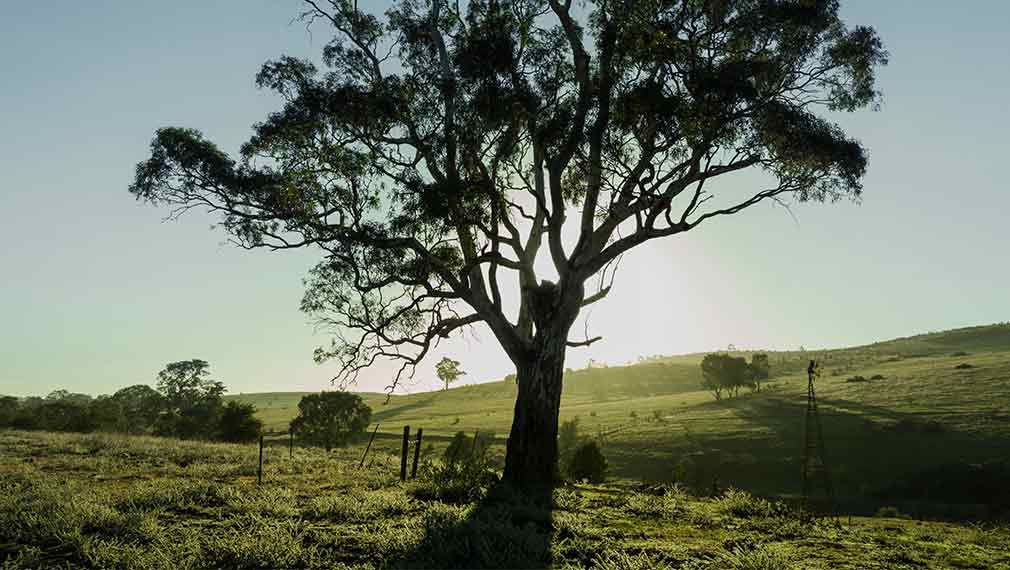 Riverhills